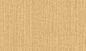 катушка Древесин-зерна стальная Prepainted с деревянной сталью дизайна картины для T-Адвокатуры, дверей входа, плакирования поставщик