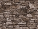 Гальванизированная стальная картина кирпича катушки PPGI для плакирования, толя металла, стены фасада поставщик