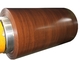 Цветные покрытые стальные катушки для печати серии Woodgrain для сайдинга и архитектурных акцентов поставщик