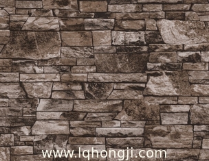 Китай Гальванизированная стальная картина кирпича катушки PPGI для плакирования, толя металла, стены фасада поставщик