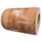 напечатанная гальванизированная ppgl ppgi катушки aluzinc катушка стального стальная с деревянной картиной поставщик